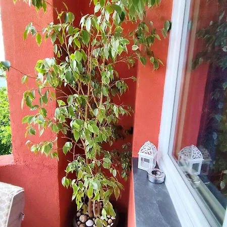 The Maria - Apartament *